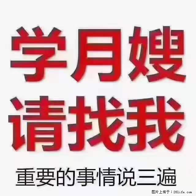 为什么要学习月嫂，育婴师？ - 新手上路 - 辽阳生活社区 - 辽阳28生活网 liaoyang.28life.net