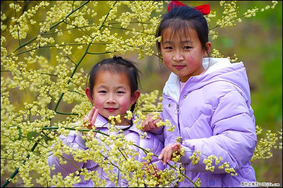 【春天，广西桂林灌阳县向您发出邀请！】米珠山前有片山苍子花在飘香 - 游山玩水 - 辽阳生活社区 - 辽阳28生活网 liaoyang.28life.net