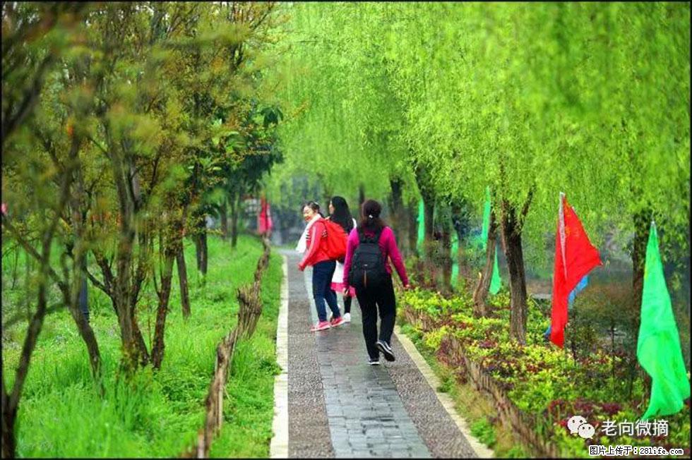 【春天，广西桂林灌阳县向您发出邀请！】江口老街又逢春 - 游山玩水 - 辽阳生活社区 - 辽阳28生活网 liaoyang.28life.net