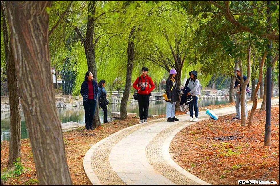 【春天，广西桂林灌阳县向您发出邀请！】江口老街又逢春 - 游山玩水 - 辽阳生活社区 - 辽阳28生活网 liaoyang.28life.net
