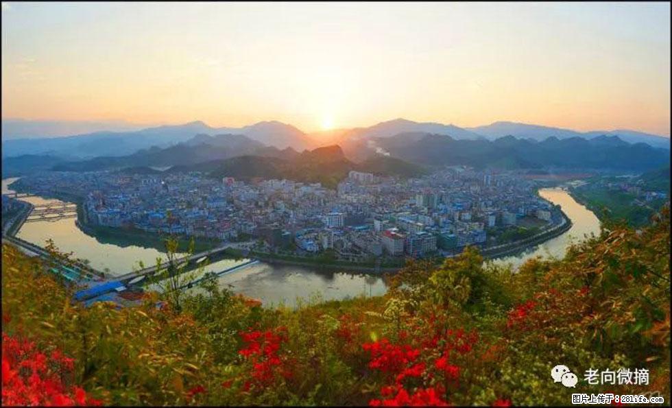 【春天，广西桂林灌阳县向您发出邀请！】登麒麟山，相约映山红 - 游山玩水 - 辽阳生活社区 - 辽阳28生活网 liaoyang.28life.net