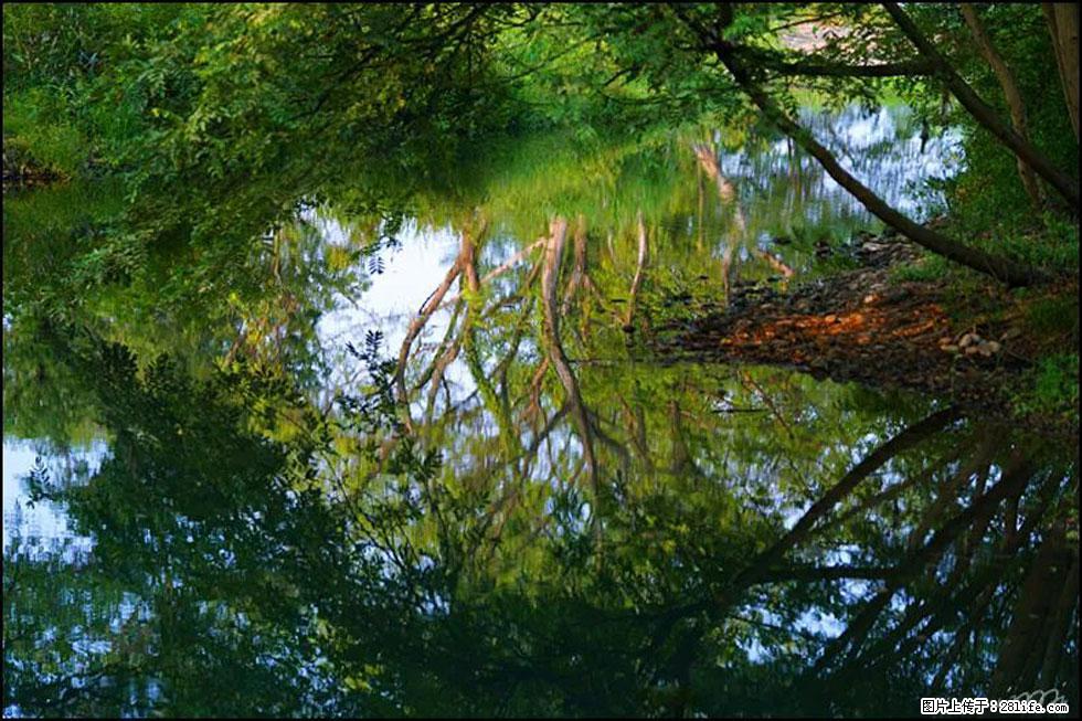【春天，广西桂林灌阳县向您发出邀请！】熊家寨湿地公园 - 游山玩水 - 辽阳生活社区 - 辽阳28生活网 liaoyang.28life.net