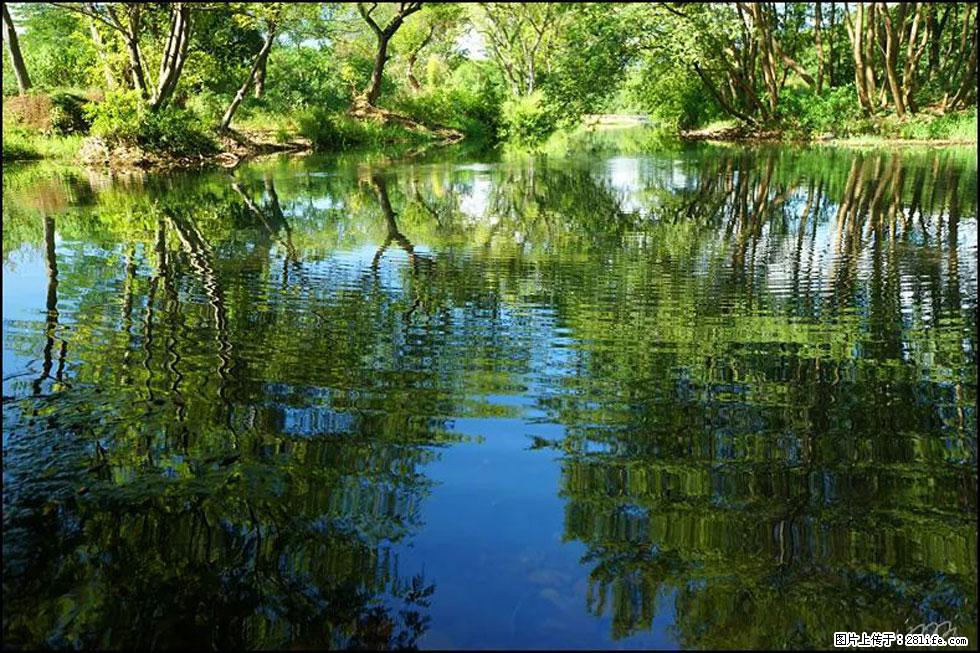 【春天，广西桂林灌阳县向您发出邀请！】熊家寨湿地公园 - 游山玩水 - 辽阳生活社区 - 辽阳28生活网 liaoyang.28life.net