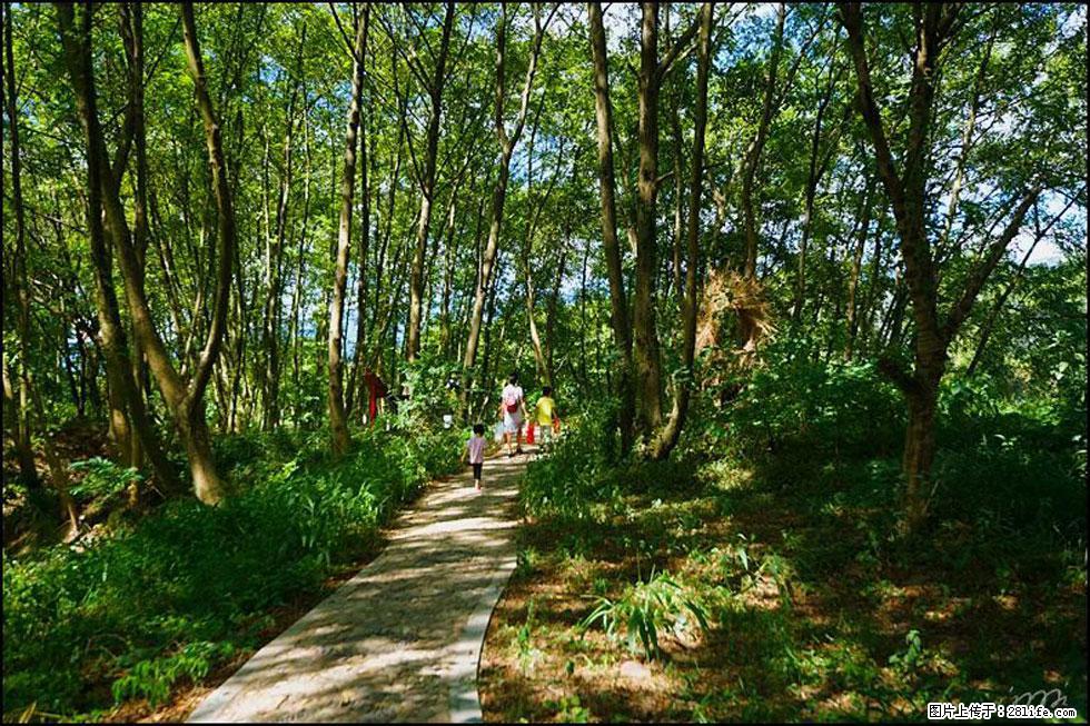 【春天，广西桂林灌阳县向您发出邀请！】熊家寨湿地公园 - 游山玩水 - 辽阳生活社区 - 辽阳28生活网 liaoyang.28life.net