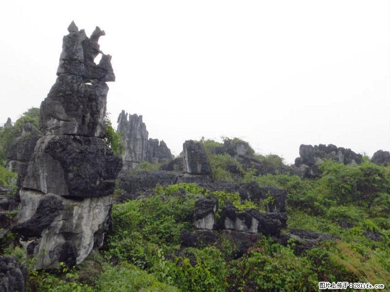 桂林旅游名城景点：灌阳文市石林 - 游山玩水 - 辽阳生活社区 - 辽阳28生活网 liaoyang.28life.net