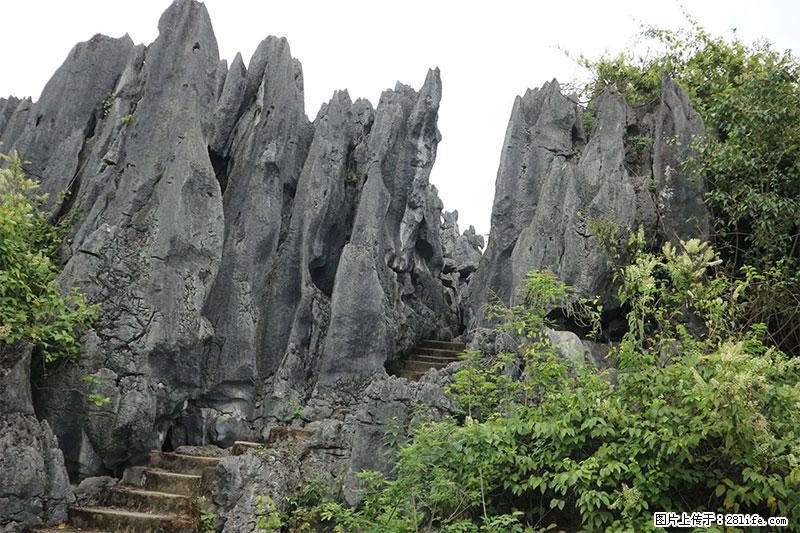 桂林旅游名城景点：灌阳文市石林 - 游山玩水 - 辽阳生活社区 - 辽阳28生活网 liaoyang.28life.net