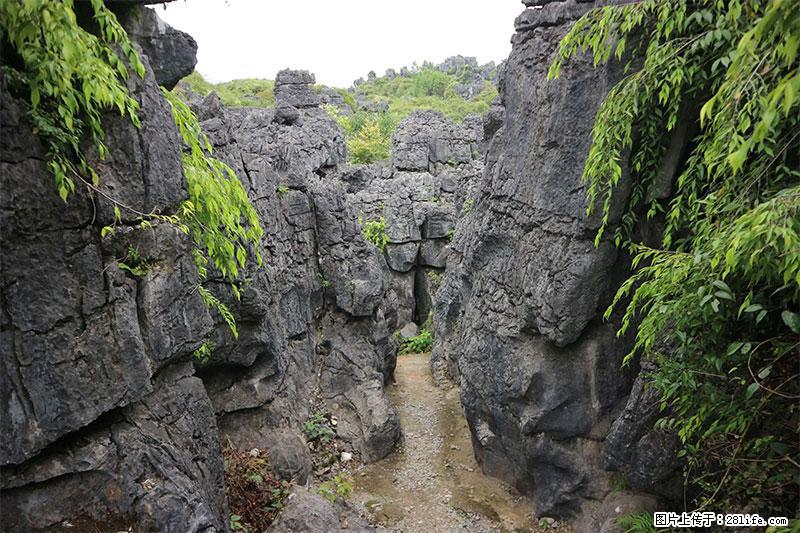 桂林旅游名城景点：灌阳文市石林 - 游山玩水 - 辽阳生活社区 - 辽阳28生活网 liaoyang.28life.net