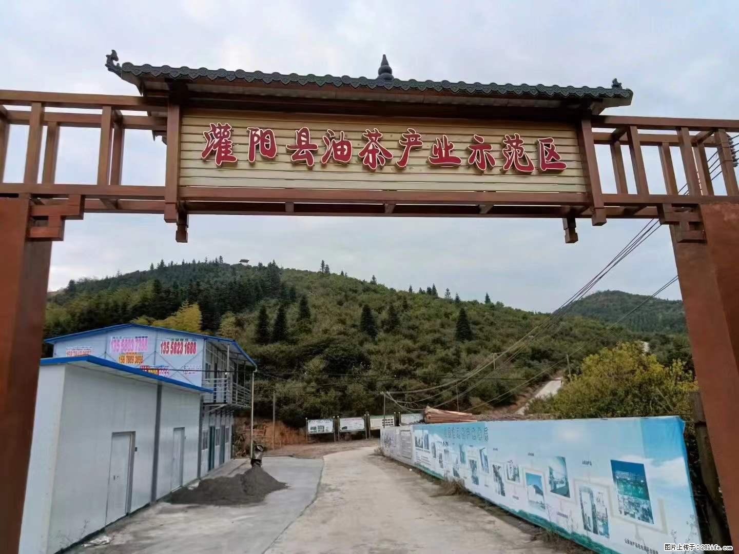 【灌阳县油茶产业示范区】一个有着充实的精神生活的人，对待身外之物自会有一种淡泊的态度 - 美食天地 - 辽阳生活社区 - 辽阳28生活网 liaoyang.28life.net