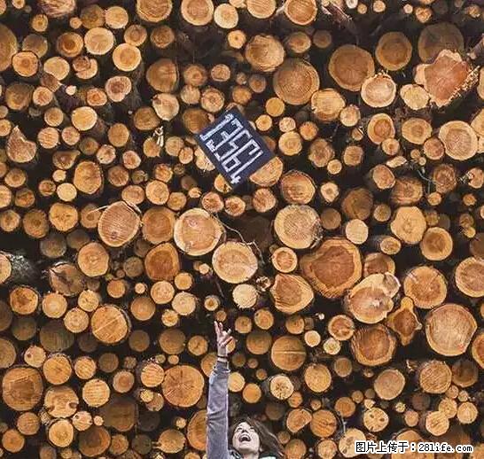 辞掉工作周游世界？现在他们在洗厕所…… - 游山玩水 - 辽阳生活社区 - 辽阳28生活网 liaoyang.28life.net