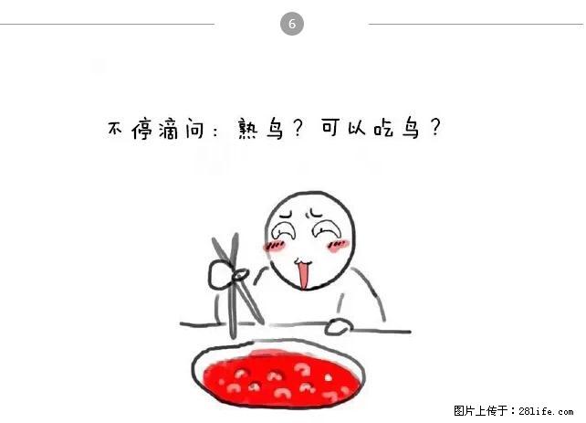 千万不要和这9种哈卵一起吃火锅！ - 美食天地 - 辽阳生活社区 - 辽阳28生活网 liaoyang.28life.net