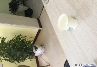 急租 精装 家电全 月租房1500元 永兴佳城13楼一室一厅 - 辽阳28生活网 liaoyang.28life.net
