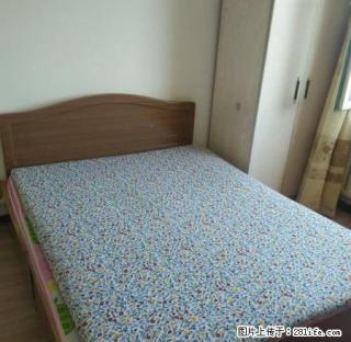 (单间出租)文安社区招合租 月租700 屋内带床电视电脑衣柜 沙发 - 辽阳28生活网 liaoyang.28life.net