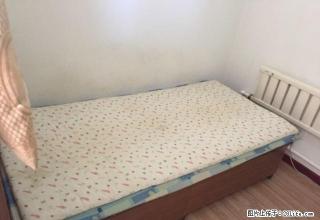 (单间出租)文安社区 2室1厅1卫 男女不限 - 辽阳28生活网 liaoyang.28life.net