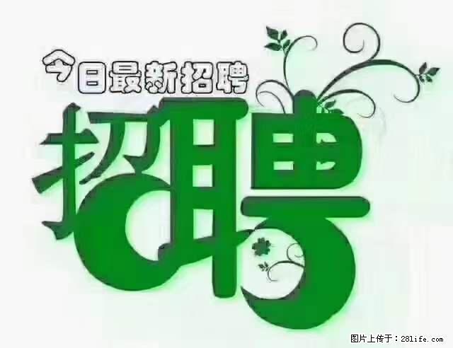 【招聘摄像师】待遇：试用期6000元/月，转正7000元/月+五险一金+餐补+节日福利+奖金 - 职场交流 - 辽阳生活社区 - 辽阳28生活网 liaoyang.28life.net