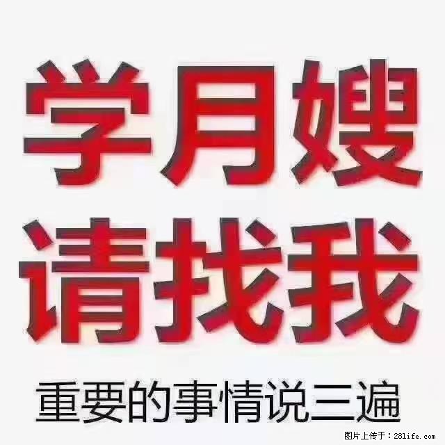 【招聘】月嫂，上海徐汇区 - 职场交流 - 辽阳生活社区 - 辽阳28生活网 liaoyang.28life.net
