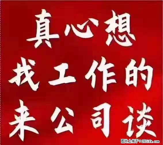 【上海】国企，医院招两名男保安，55岁以下，身高1.7米以上，无犯罪记录不良嗜好 - 职场交流 - 辽阳生活社区 - 辽阳28生活网 liaoyang.28life.net