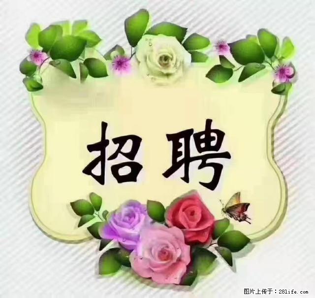 【招聘】住家育儿嫂，上户日期：4月4日，工作地址：上海 黄浦区 - 职场交流 - 辽阳生活社区 - 辽阳28生活网 liaoyang.28life.net