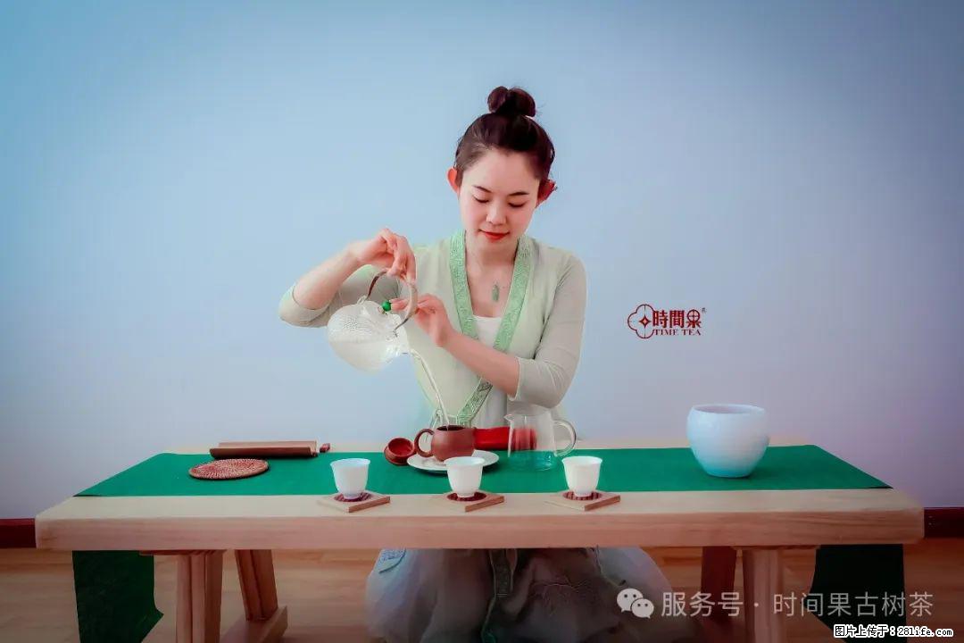 时间果百年古树龙珠普洱生茶 - 购物交流 - 辽阳生活社区 - 辽阳28生活网 liaoyang.28life.net