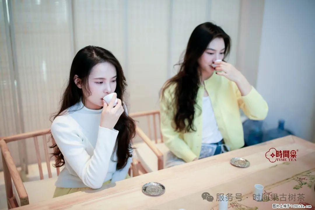 时间果百年古树龙珠普洱生茶 - 购物交流 - 辽阳生活社区 - 辽阳28生活网 liaoyang.28life.net