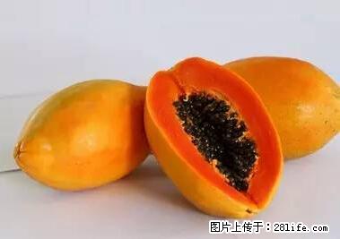 晕车、脚气、牙齿变黄、皮肤粗糙？学会这些三分钟搞定！ - 辽阳生活资讯 - 辽阳28生活网 liaoyang.28life.net