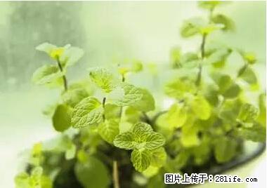 晕车、脚气、牙齿变黄、皮肤粗糙？学会这些三分钟搞定！ - 辽阳生活资讯 - 辽阳28生活网 liaoyang.28life.net