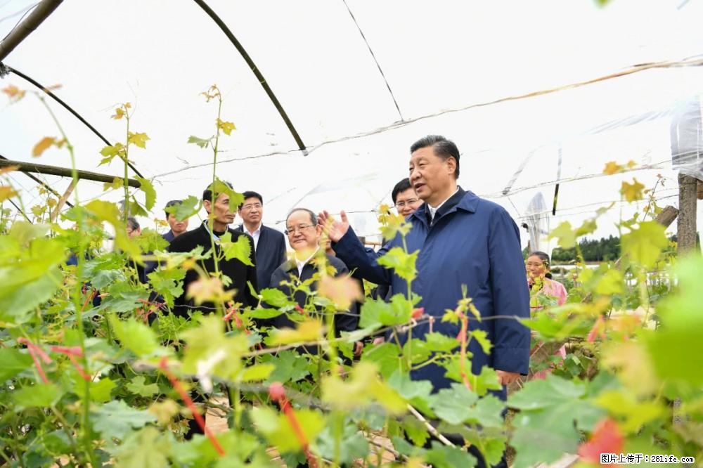 习近平赴广西考察调研 - 辽阳生活资讯 - 辽阳28生活网 liaoyang.28life.net