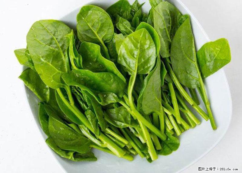 这些蔬菜是“天然钙片”，这6种被医生重点推荐 - 辽阳生活资讯 - 辽阳28生活网 liaoyang.28life.net
