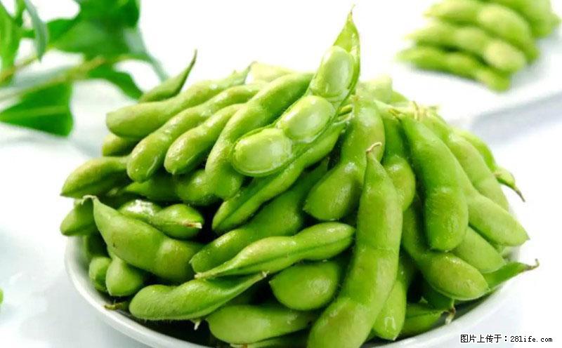 这些蔬菜是“天然钙片”，这6种被医生重点推荐 - 辽阳生活资讯 - 辽阳28生活网 liaoyang.28life.net