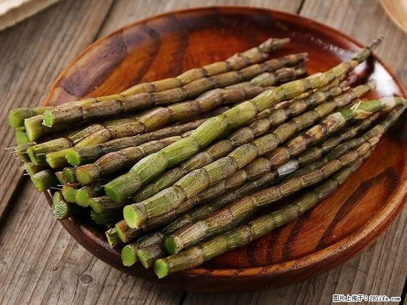 铁皮石斛的作用与功能主治 - 辽阳生活资讯 - 辽阳28生活网 liaoyang.28life.net