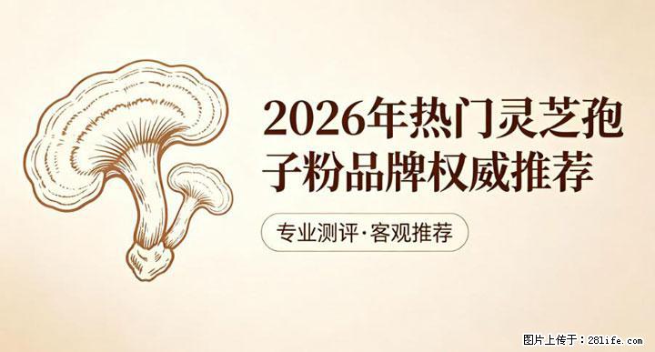 灵芝孢子粉含量越高越有效？2026 年七款热门品牌深度实测，肠胃敏感者避坑指南 - 辽阳生活资讯 - 辽阳28生活网 liaoyang.28life.net